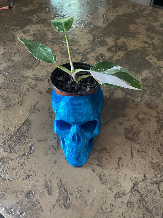 Skull pot planter